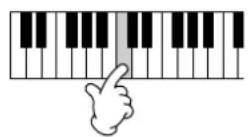YAMAHA Clavinova CVP403PE - Example 1 - 5