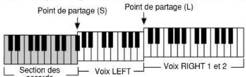 YAMAHA Clavinova CVP405PE - Réglage des points de partage (S) et (L) sur des notes différentes - 1