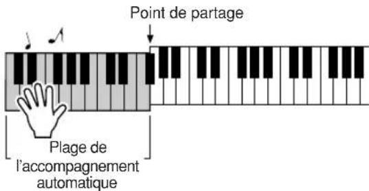 YAMAHA YPT200 - La reproduction du style démarre lorsque vous jouez un accord dans la plage d'accompagnement du clavier. - 1