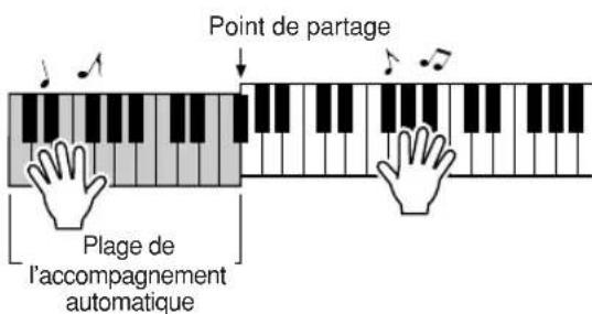 YAMAHA YPT200 - La reproduction du style démarre lorsque vous jouez un accord dans la plage d'accompagnement du clavier. - 2