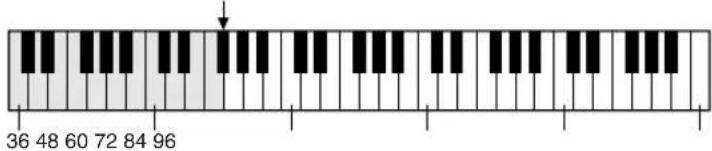 YAMAHA YPT200 - Réglage du volume du stylo - 4