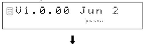 YAMAHA CDRHD1500 - ■ Überprüfen der Firmware-Version (Firm. Version) - 3