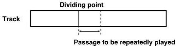 YAMAHA CDRHD1500 - Rotate the MULTI JOG knob (press +/- on the remote control) to specify the dividing point. - 1