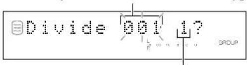 YAMAHA CDRHD1000 - Track Divide - 1