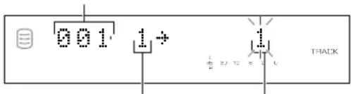 YAMAHA CDRHD1000 - Track Rename - 1