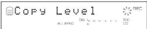 YAMAHA CDRHD1000 - Copying Menu Setting - 4