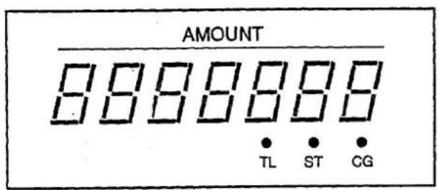 AMOUNT 8888888 • TL • ST • CG