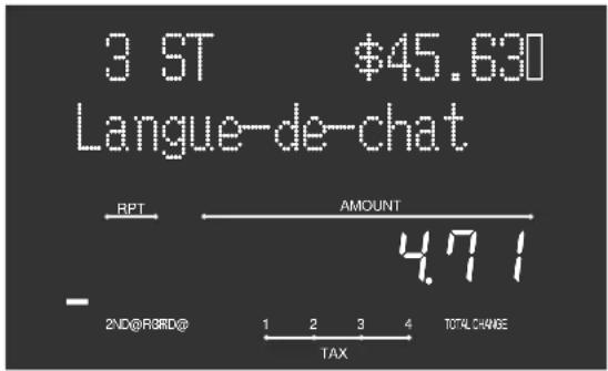 CASIO TKT500 - Panneau d'affichage - 3