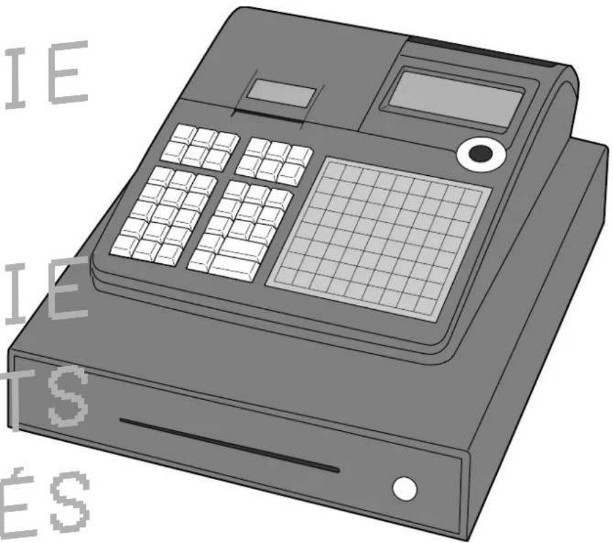 CASIO SEC300 - SE-C300 - 1