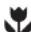 Zanussi-Electrolux ZC 245 RM - Utilisation - 1