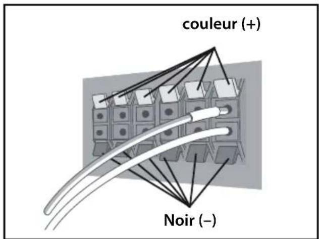 PIONEER HTZBD30 - Branchez les fils sur le lecteur. - 1