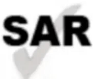 Sunstech USUN 100 - AVERTISSEMENTS DE SECURITE ET DE PRECAUTIONS - 1