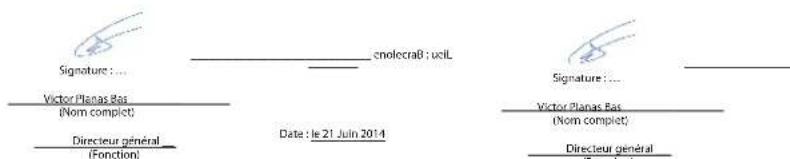 Sunstech Dedalo II - DECLARATION DE CONFORMITE - 1