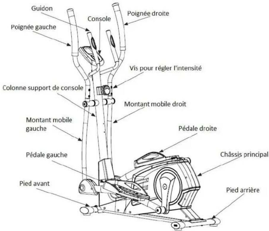 Toorx ERX70 - Identification des principaux éléments de l'appareil - 1