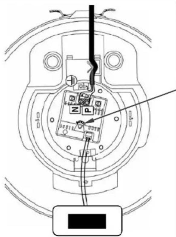 ATLANTIC Ingenio - BG - 2
