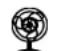 ROADSTAR TTR8632UCEN - 230v\~ - 3
