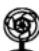 ROADSTAR TTR8632UCEN - 230v\~ - 3