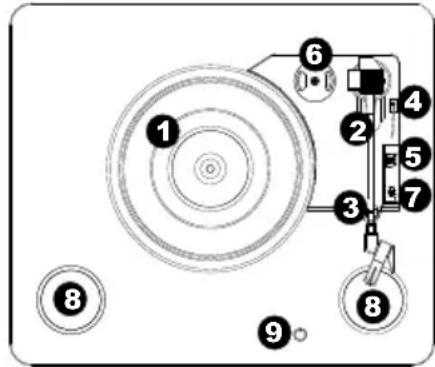 ION Archive LP - Caratteristiche - 1