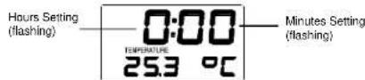 TECHNOLINE WT 590 - LCD SCREEN - 2