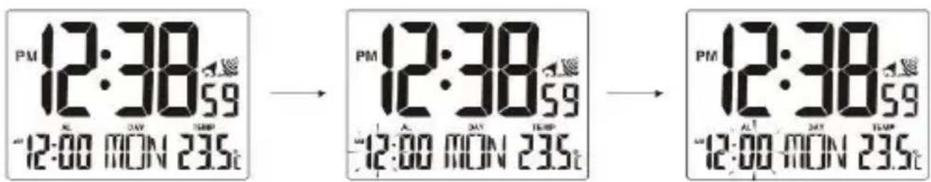 TECHNOLINE WT 195 - ALARM TIME SETTING - 1
