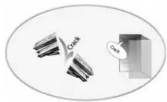 PRIVILEG PFV 231W A - VIANMAÄRITYS - 6