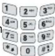 PROFOON PDX1420 - Netzwerk- oder Komfort-Diensten (\*) - 2