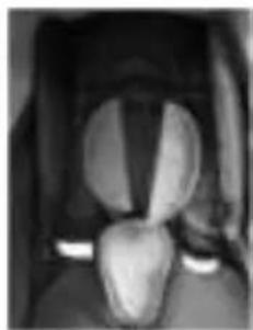 Topmark Lucca - MONTAJE DE LA CORREA ENTREPIERNAS - 1