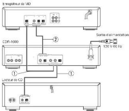 DENON CDR1000 - Branchement des connecteurs d'entrée/sortie numériques - 1
