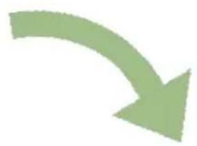 TELEFUNKEN 32LED189SNL - Notification de licence - 2