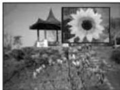 BEKO 40 LMLCDC33 - Positionnement PIP : - 2