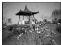 BEKO 40 LMLCDC33 - Fonction PIP (image incrustée) (optionnel): - 1