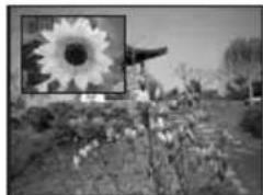 BEKO 40 LMLCDC33 - PIP Position: - 2