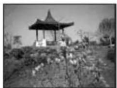 BEKO 40 LMLCDC33 - Using the PIP (Picture in Picture) feature (Optional); - 2