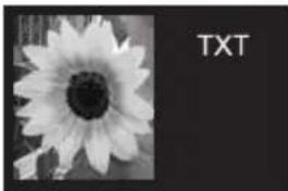 BEKO 40 LMLCDC33 - PAT Mode: - 2