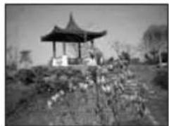 BEKO 40 LMLCDC33 - Het gebruik van de PIP Beeld-in-beeld functie (optioneel): - 1