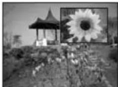 BEKO 40 LMLCDC33 - PIP Position (PIP positie): - 3