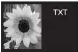 BEKO 40 LMLCDC33 - Mode PAT: - 2