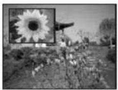 BEKO 40 LMLCDC33 - Positionnement PIP : - 1