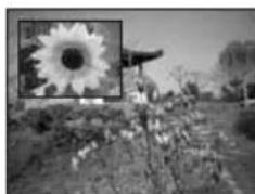 BEKO 40 LMLCDC33 - PIP Position (PIP positie): - 2