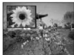 BEKO 40 LMLCDC33 - Fonction PIP (image incrustée) (optionnel): - 2