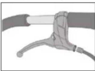 Teutonia BeYou! Elite - Saregenheder pa modeltyperne - 1