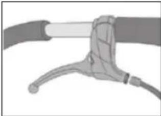 Teutonia BeYou! Elite - Zvăstnosti variant modelu - 1
