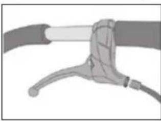 Teutonia BeYou! Elite - Modellvarianternas specialegenskaper - 1