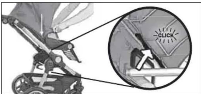 Teutonia Bliss - Kedutes tvirtinimas ir atlaisvinimas - 1