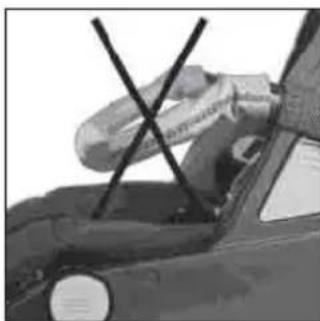 Teutonia Bliss - Aizsargstienis - 3