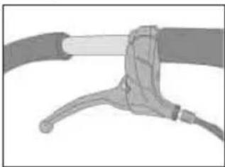 Teutonia Bliss - Saregenhetene til modellvariantene - 1