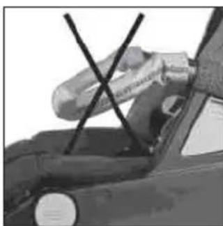 Teutonia Bliss - Skyddsbgel - 3