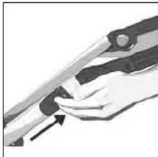 Teutonia Bliss - Sasijas salocisana - 2