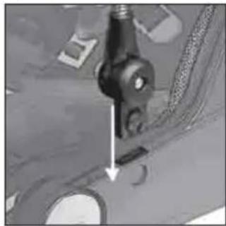 Teutonia Bliss - PerynpoBka noDCTaBKn Jn Hor - 2