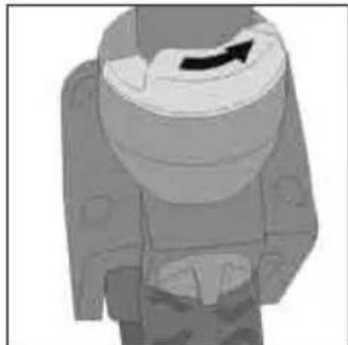 Teutonia Bliss - Zwenkwiei - 2